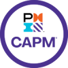 PMI: Certified Associate in Project Management Logo
