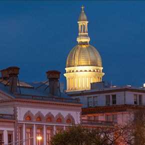 State & Local: State and local government consulting services