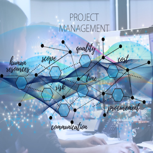 Project management planning across scope, schedule, resources, cost and quality